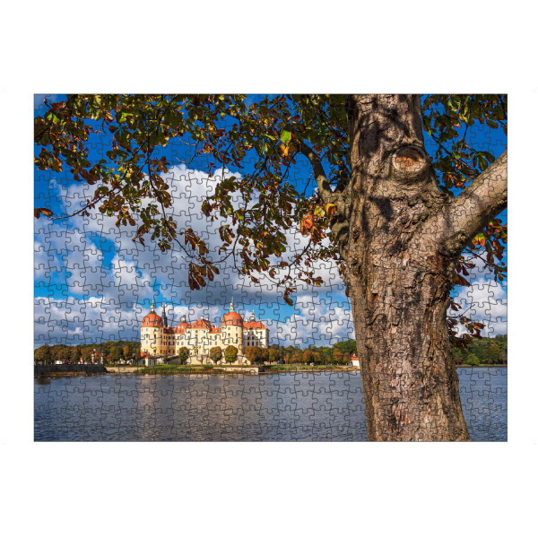 Puzzle Ravensburger "Baum und Schloss Moritzburg" artboxONE - Natur,Reise,Architektur