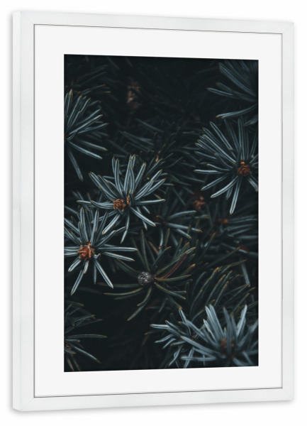 Poster mit Rahmen weiß "Green/Blue" artboxONE - Natur - Pflanzen,Planze,Grün,Blue,Green,Makro,Details,Plant,Plants,Nature,Leaves,Botanical,Botanisch