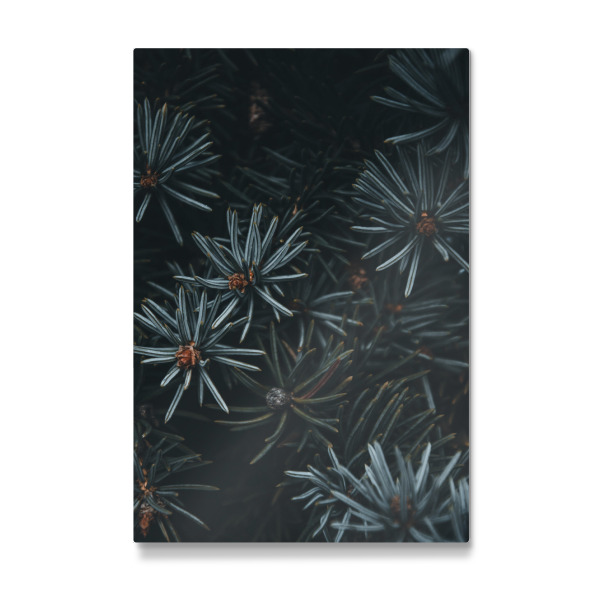 Galerie-Print "Green/Blue" 30x20 cm artboxONE