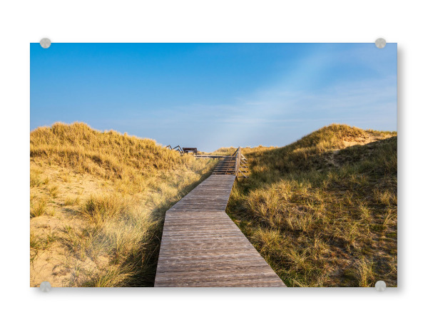 Acrylglasbild "Bohlenweg, Düne und Dünengras" artboxONE - Natur,Reise,Architektur