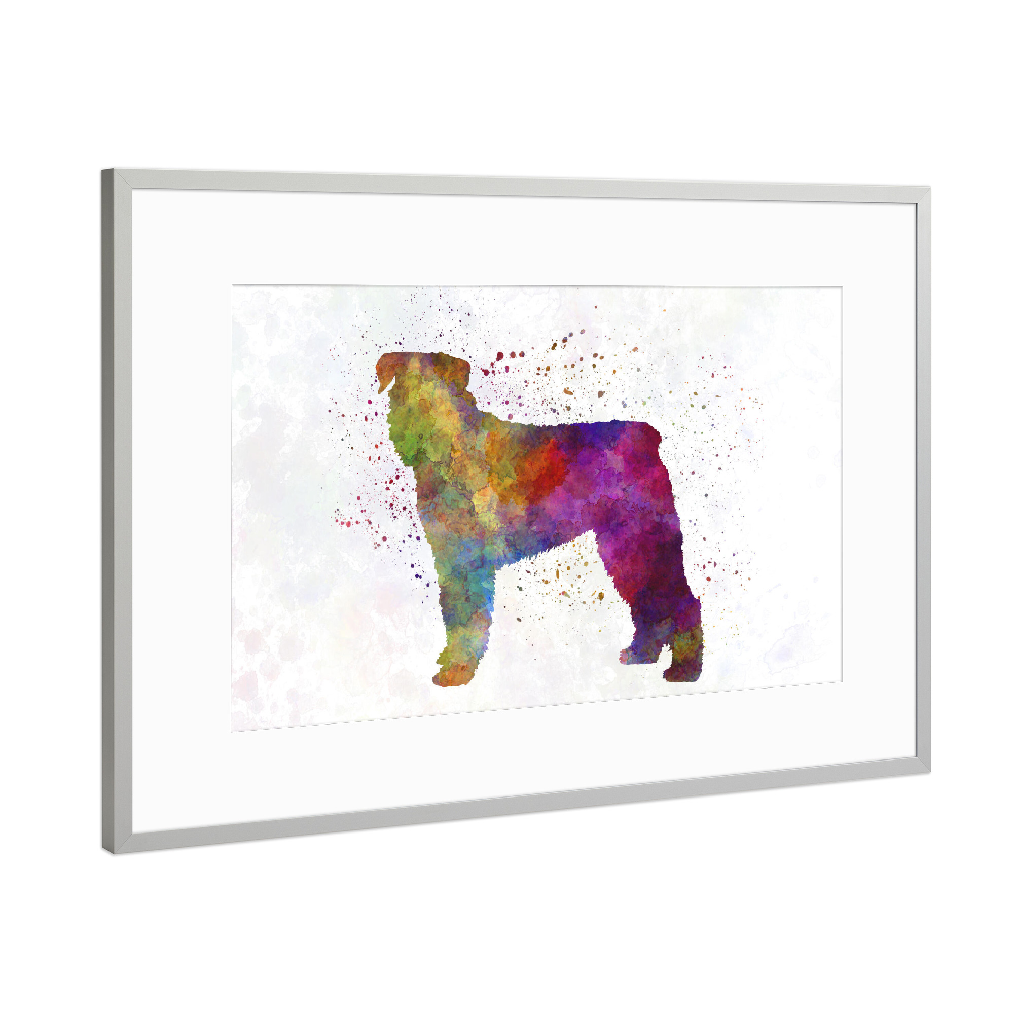 Poster mit Rahmen Silber "Bouvier Des Flandes in watercolor" artboxONE - Tiere,Abstrakt