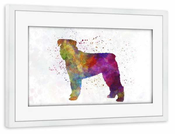 Poster mit Rahmen weiß "Bouvier Des Flandes in watercolor" artboxONE - Tiere,Abstrakt