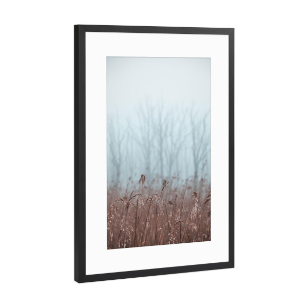 Poster mit Rahmen Schwarz (Metallic) "Kühler Morgen" artboxONE - Natur,Floral