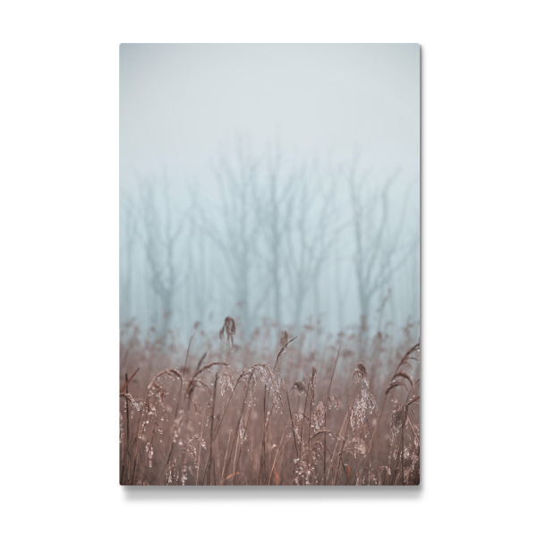 Galerie-Print "Kühler Morgen" 30x20 cm artboxONE