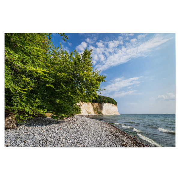 Poster "Bäume, Wellen und Kreideküste" artboxONE - Natur,Reise,Reise / Strand und Meer