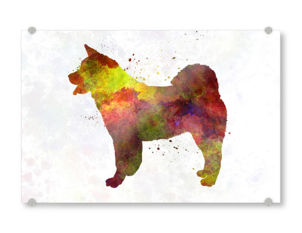 Acrylglasbild "American Akita in watercolor" artboxONE - Tiere - Dog,Pet,Childish,Watercolor,Decorative,Children's decoration,Animal,Animals,Dogs