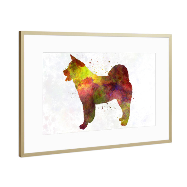 Poster mit Rahmen Gold "American Akita in watercolor" artboxONE - Tiere