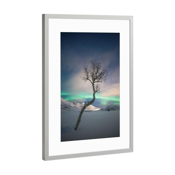 Poster mit Rahmen Silber "Arctic Tree" artboxONE - Natur