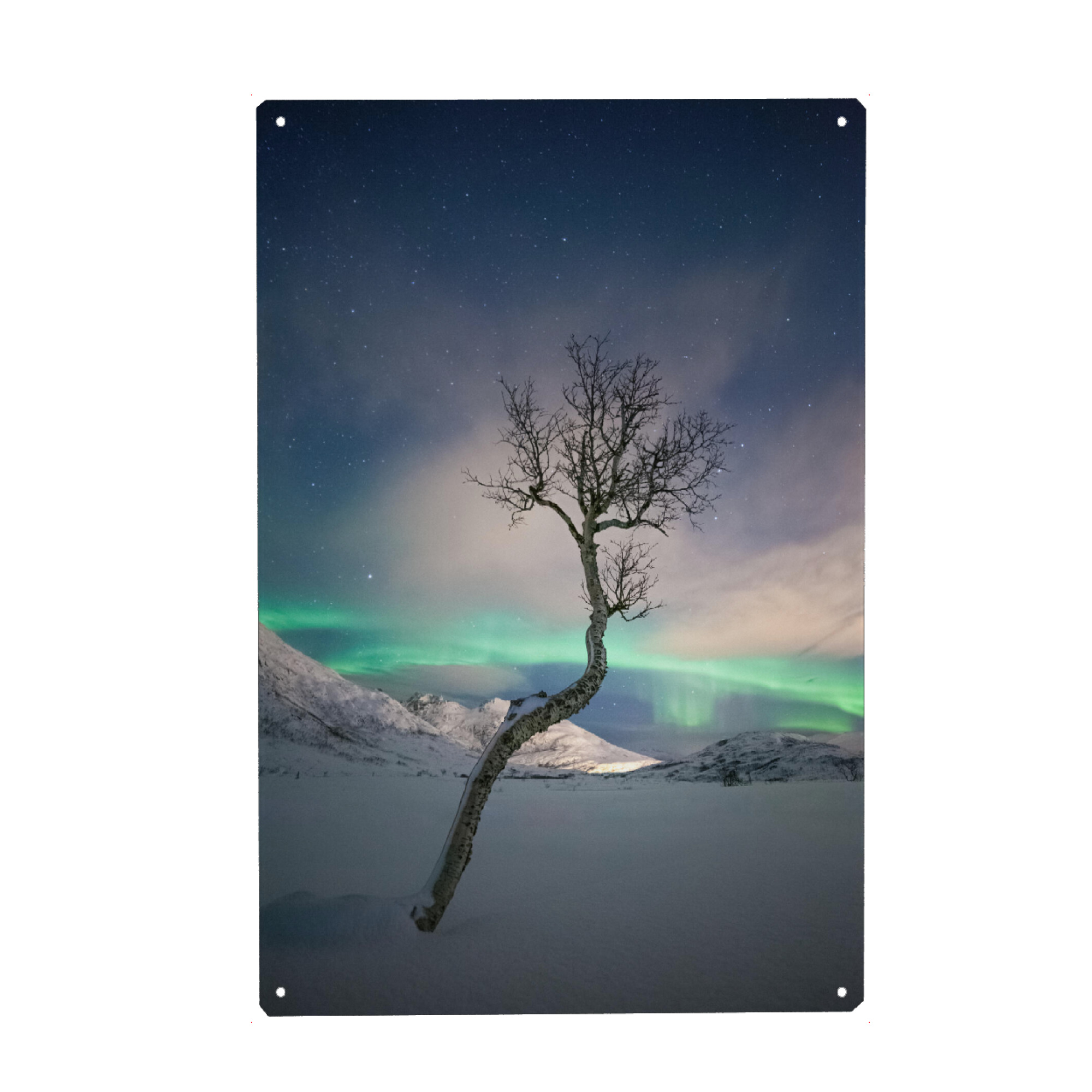 Holzbild "Arctic Tree" artboxONE - Natur