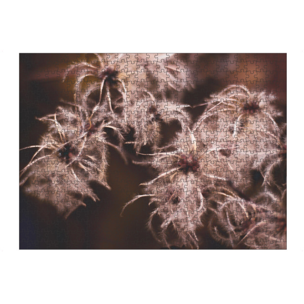 Puzzle Ravensburger "Pinkish Mood" artboxONE - Natur,Floral - Pflanze,Pflanzen,Plant,Plants,Pink,Rosa,Makro,Detail - Bild pflanze