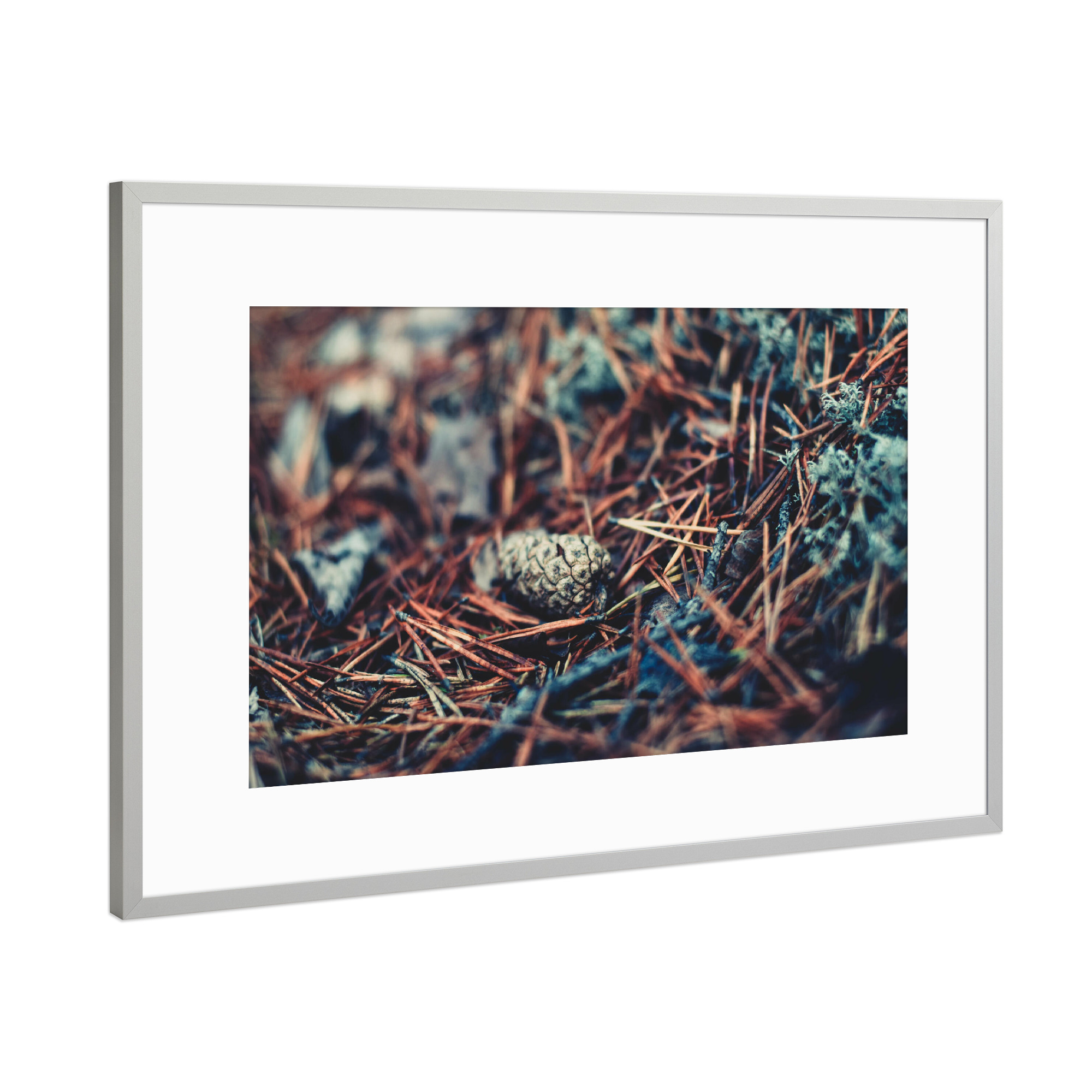 Poster mit Rahmen Silber "Tannenzapfen im Nadelbett" artboxONE - Natur,Reise,Reise / Länder