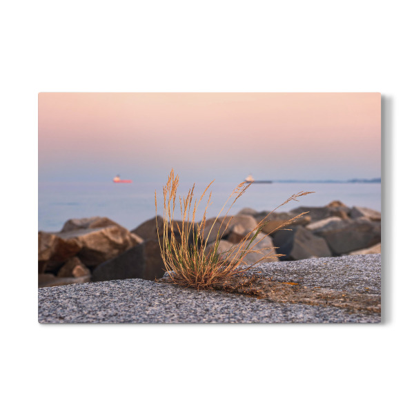 Galerie-Print "Grasbüschel auf der Mole" 30x20 cm artboxONE