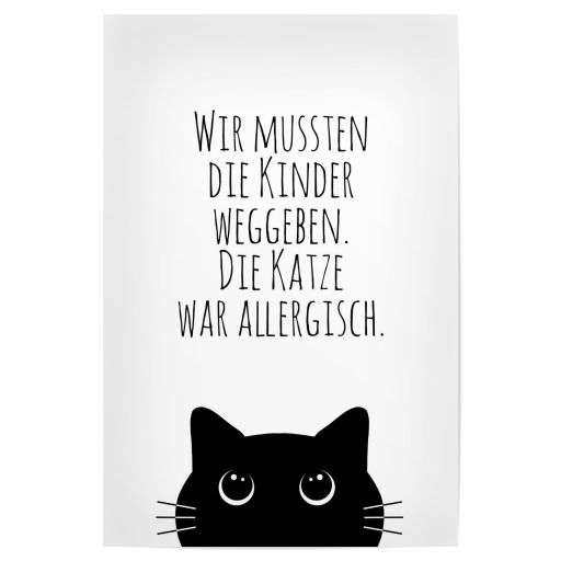 Kinder Allergie - Katze