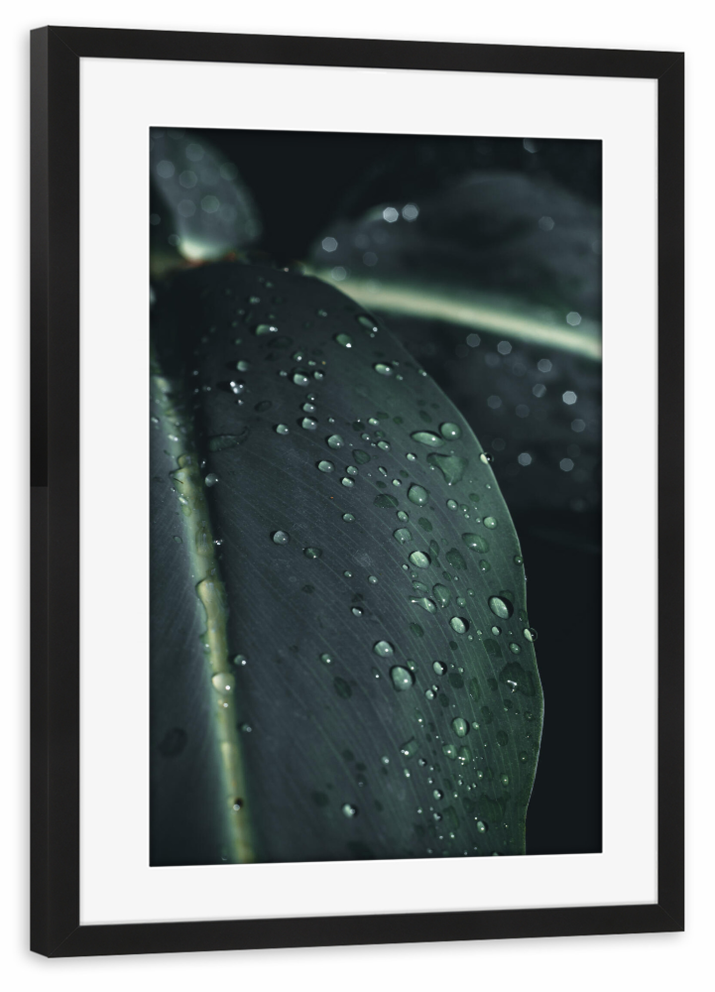 Poster mit Rahmen schwarz "Green Waterdroops" artboxONE - Natur,Floral