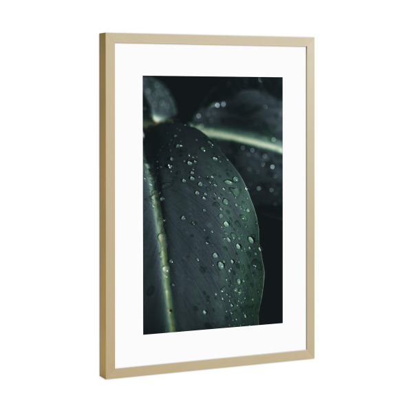 Poster mit Rahmen Gold "Green Waterdroops" artboxONE - Natur,Floral