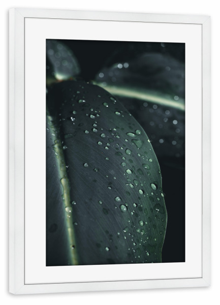 Poster mit Rahmen weiß "Green Waterdroops" artboxONE - Natur,Floral