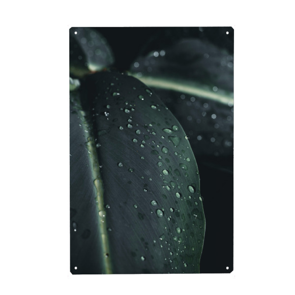 Metall Poster "Green Waterdroops" artboxONE - Natur,Floral