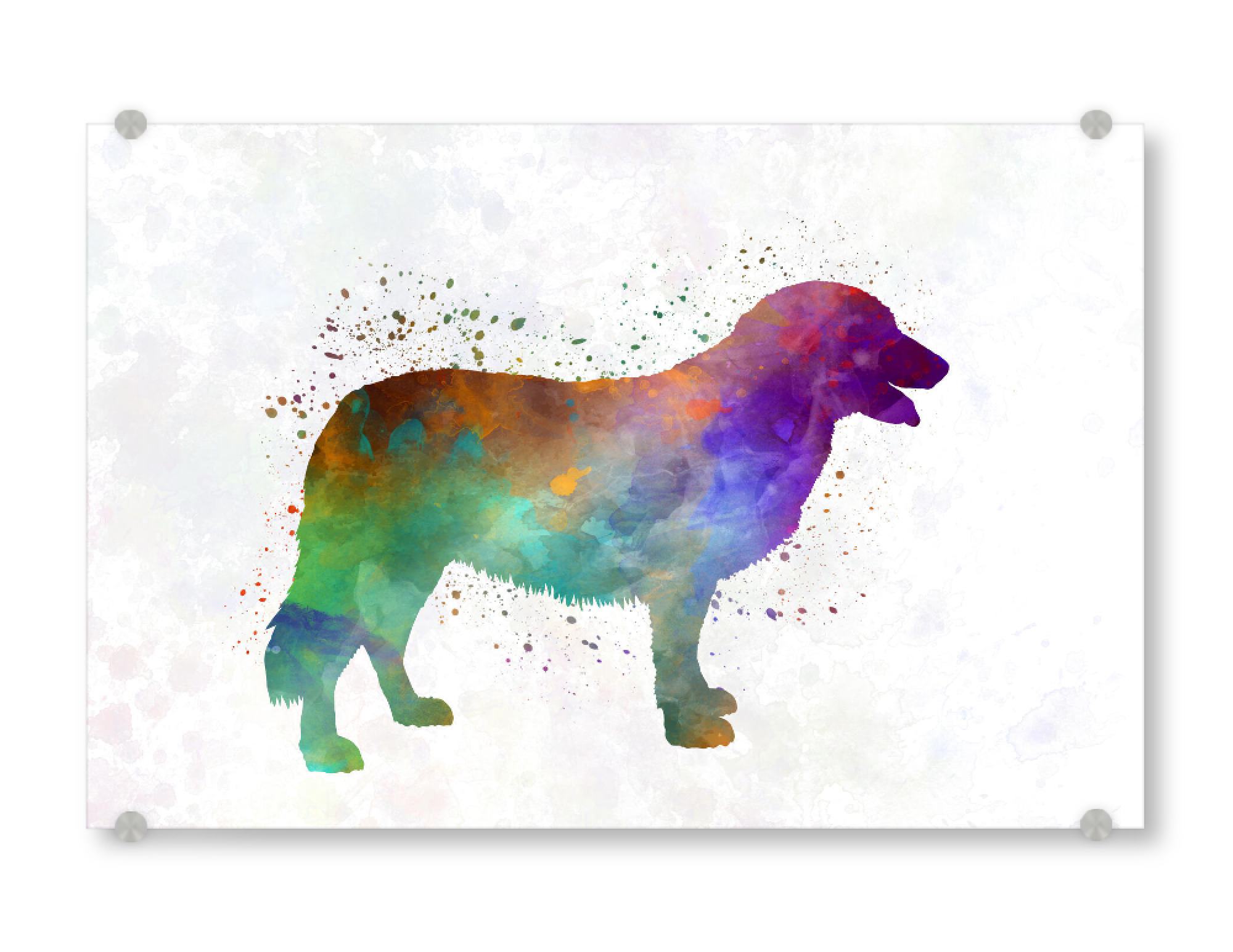Acrylglasbild "Atlas Mountain Dog in watercolor" artboxONE - Tiere - Dog,Pet,Childish,Watercolor,Decorative,Nursery decor,Animal,Animals,Dogs