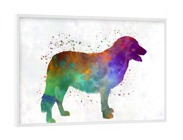 Poster mit weißem Rahmen "Atlas Mountain Dog in watercolor" artboxONE - Tiere