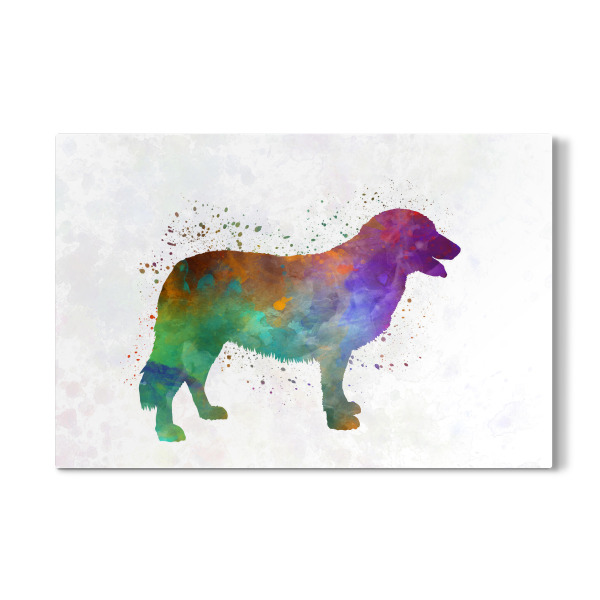 Galerie-Print "Atlas Mountain Dog in watercolor" 30x20 cm artboxONE
