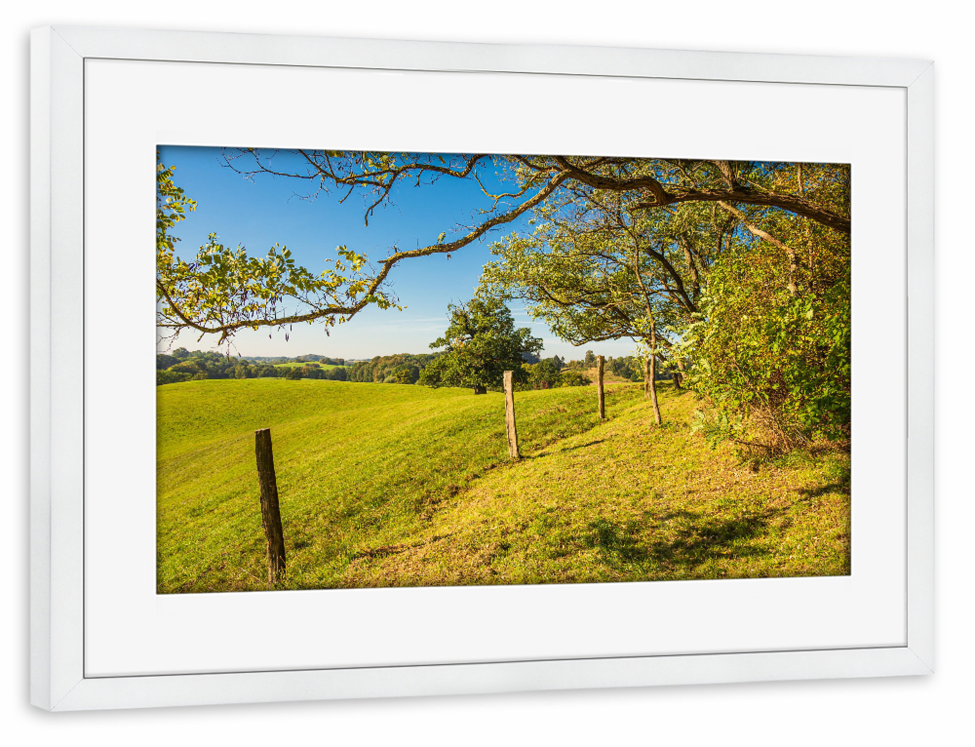 Poster mit Rahmen weiß "Zaun, Wiese und Bäume" artboxONE - Natur,Reise