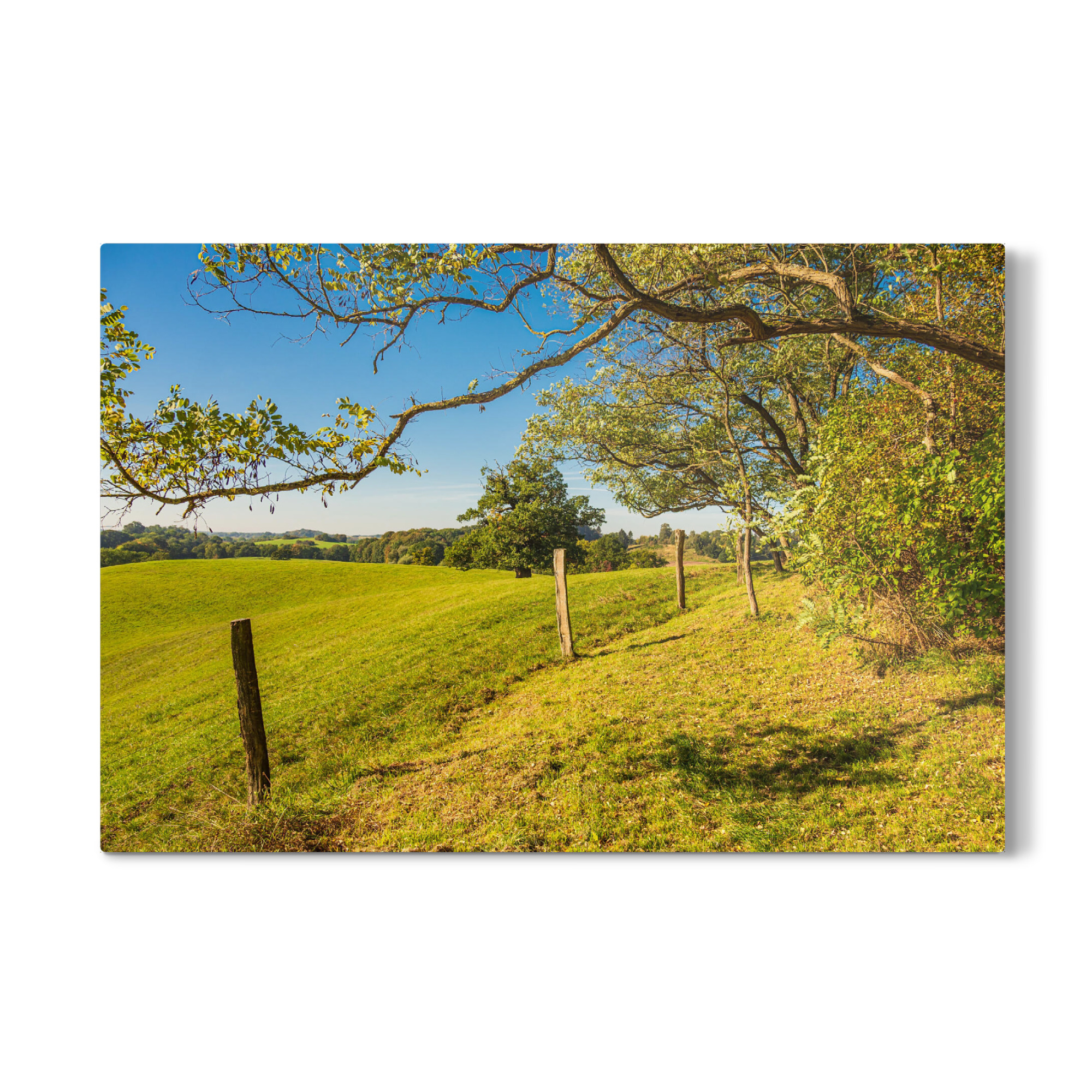 Galerie-Print "Zaun, Wiese und Bäume" 75x50 cm artboxONE