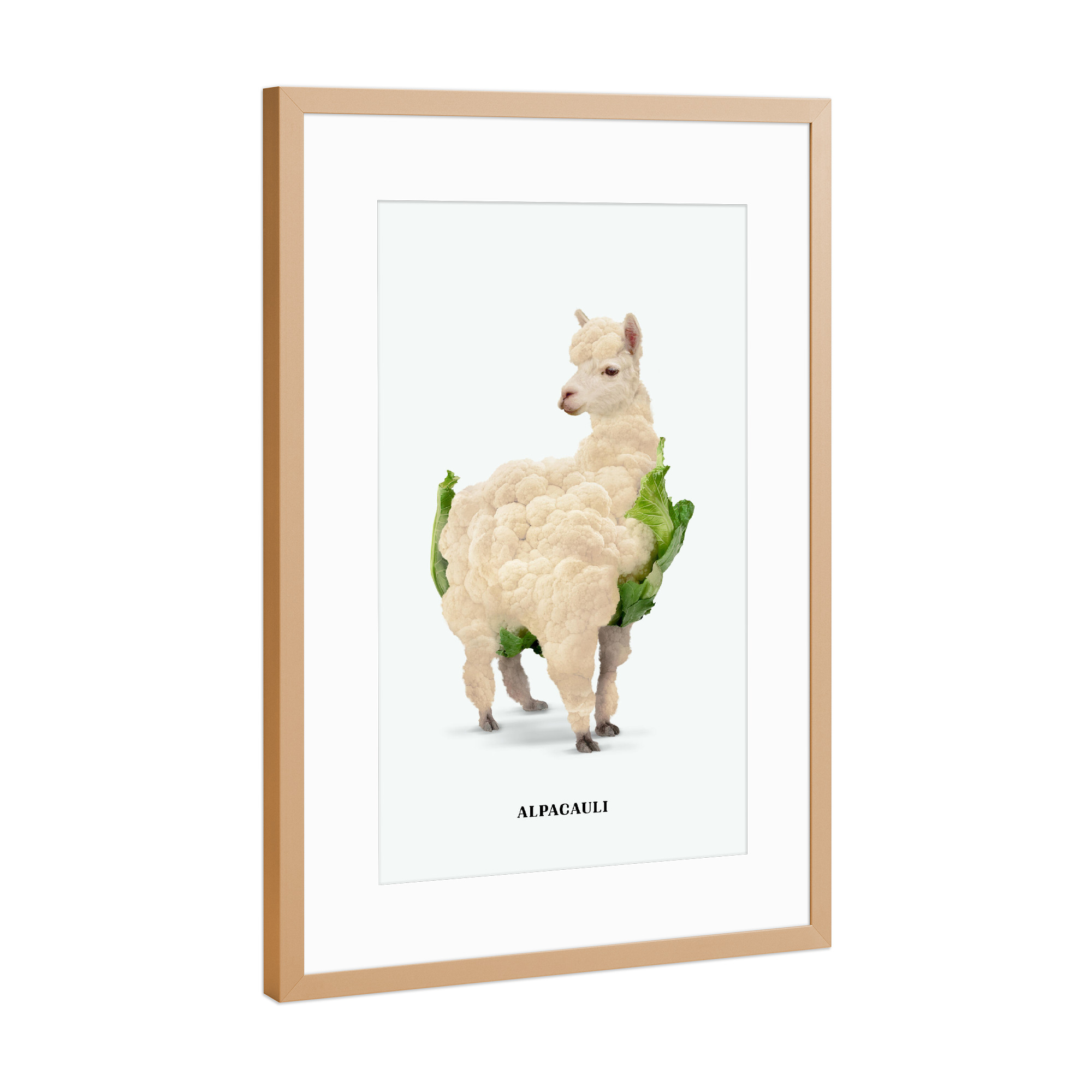 Poster mit Rahmen Kupfer "Alpacauli" artboxONE - Tiere,Essen & Trinken,Essen & Trinken / Obst & Gemüse,Lustig