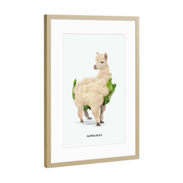 Poster mit Rahmen Gold "Alpacauli" artboxONE - Tiere,Essen & Trinken,Essen & Trinken / Obst & Gemüse,Lustig