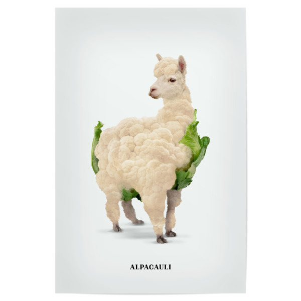 Poster "Alpacauli" artboxONE - Tiere,Essen & Trinken,Essen & Trinken / Obst & Gemüse,Lustig