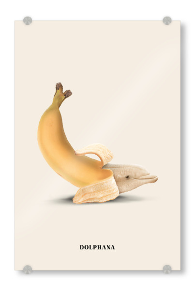 Acrylglasbild "Dolphana" artboxONE - Tiere,Essen & Trinken / Obst & Gemüse,Lustig