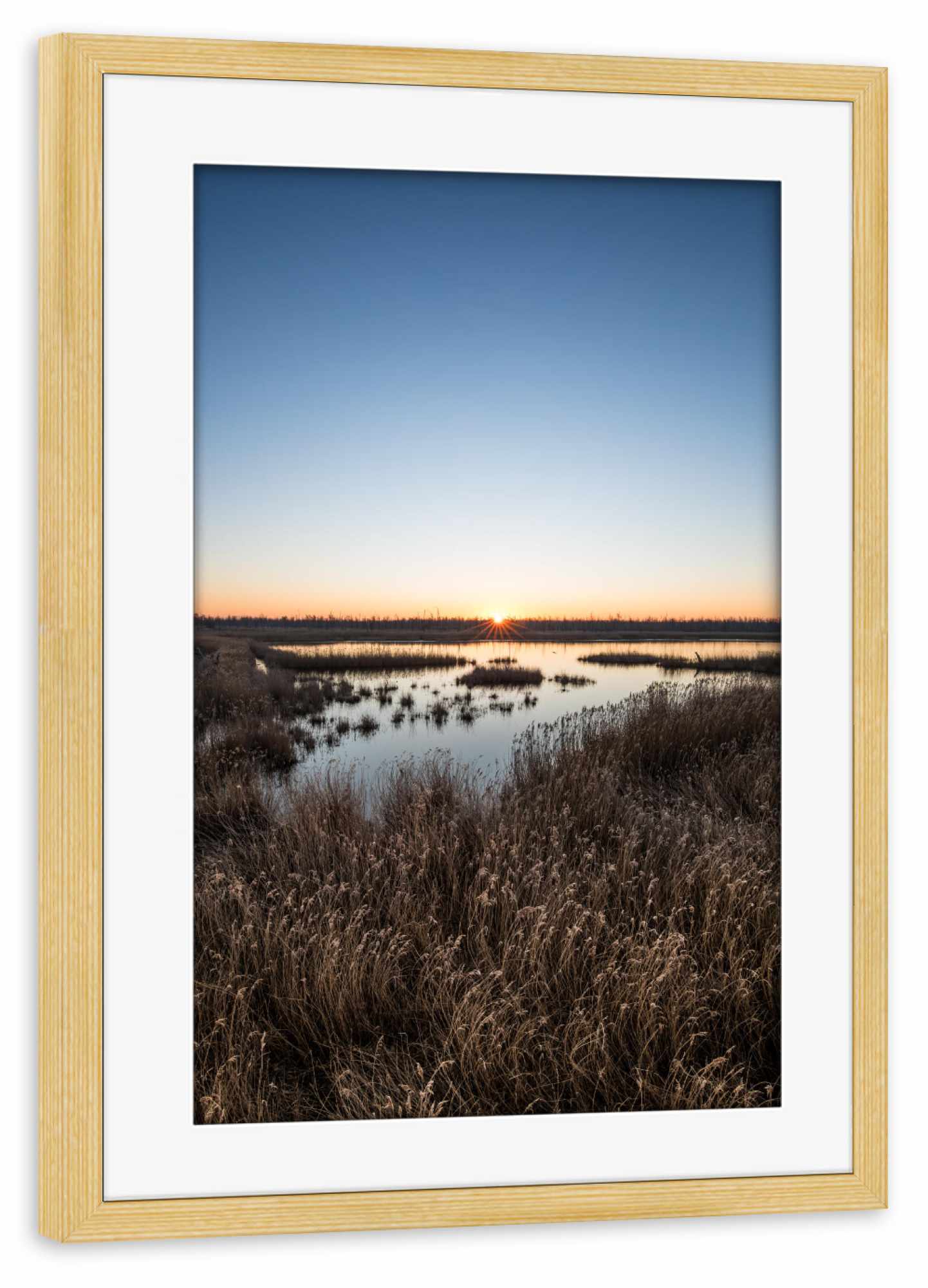 Poster mit Rahmen kiefer "Sonnenaufgang im Schilf" artboxONE - Natur