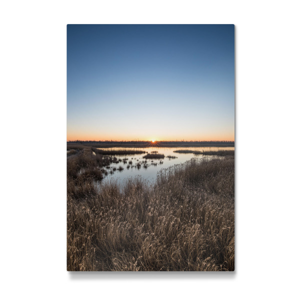Galerie-Print "Sonnenaufgang im Schilf" 30x20 cm artboxONE