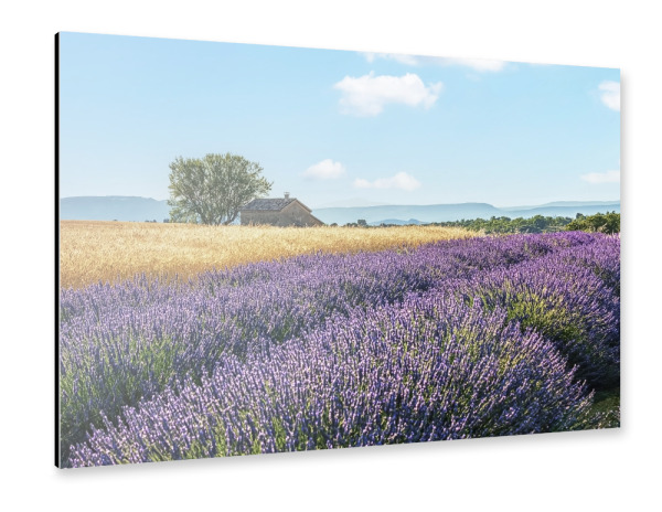 Alu-Dibond "French Countryside" 30x20 cm artboxONE