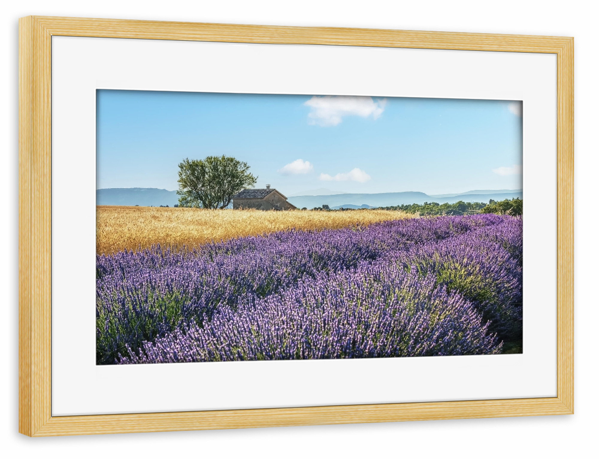 Poster mit Rahmen kiefer "French Countryside" artboxONE - Natur,Reise,Floral,Reise / Länder