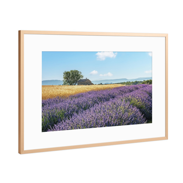 Poster mit Rahmen Kupfer "French Countryside" artboxONE - Natur,Reise,Floral,Reise / Länder