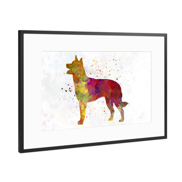 Poster mit Rahmen Schwarz (Metallic) "Australian Kelpie in watercolor" artboxONE - Tiere