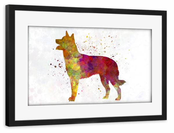 Poster mit Rahmen schwarz "Australian Kelpie in watercolor" artboxONE - Tiere