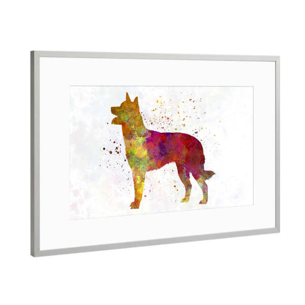Poster mit Rahmen Silber "Australian Kelpie in watercolor" artboxONE - Tiere