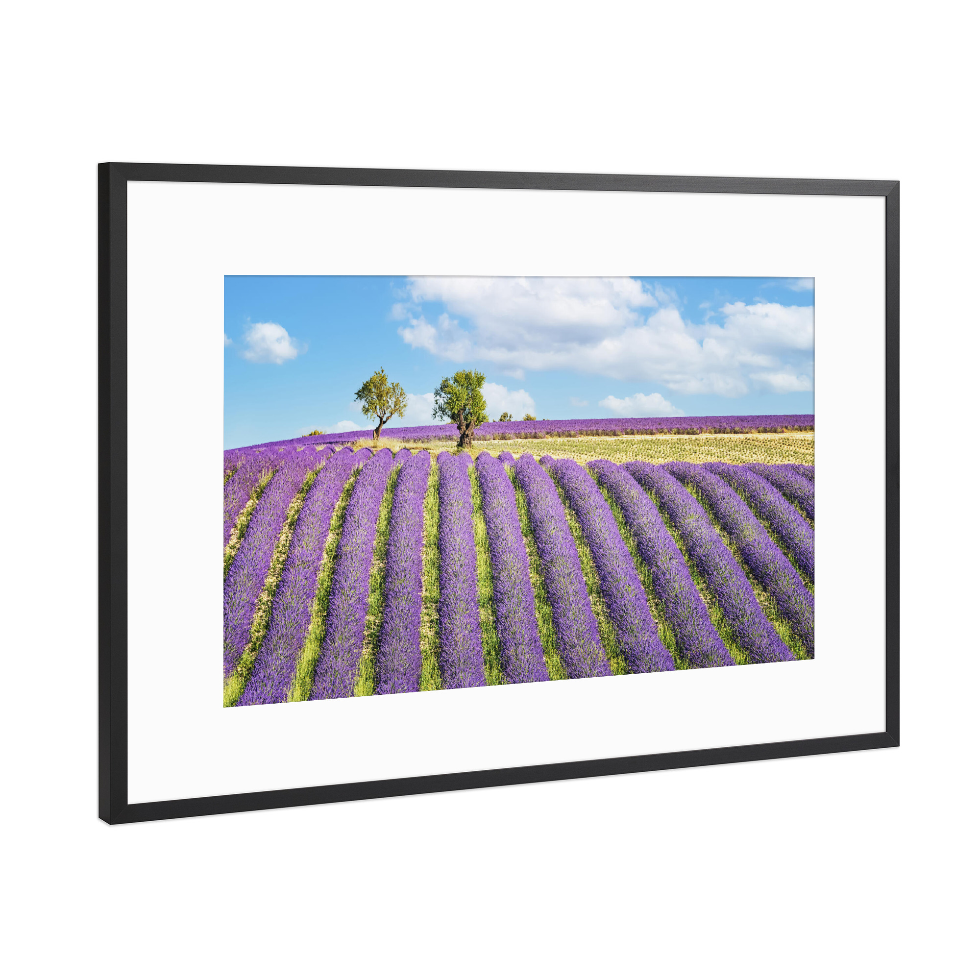 Poster mit Rahmen Schwarz (Metallic) "Summer In Provence" artboxONE - Natur,Reise,Floral,Reise / Länder
