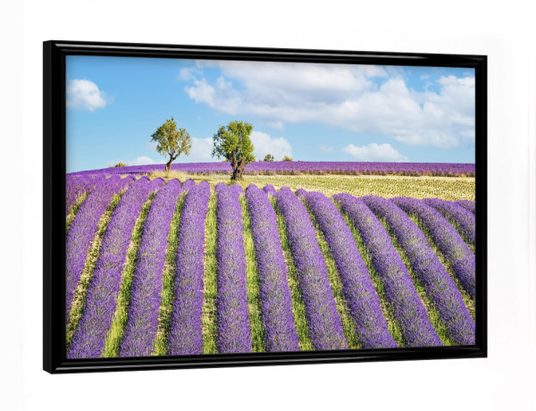 Poster mit schwarzem Rahmen "Summer In Provence" artboxONE - Natur,Reise,Floral,Reise / Länder