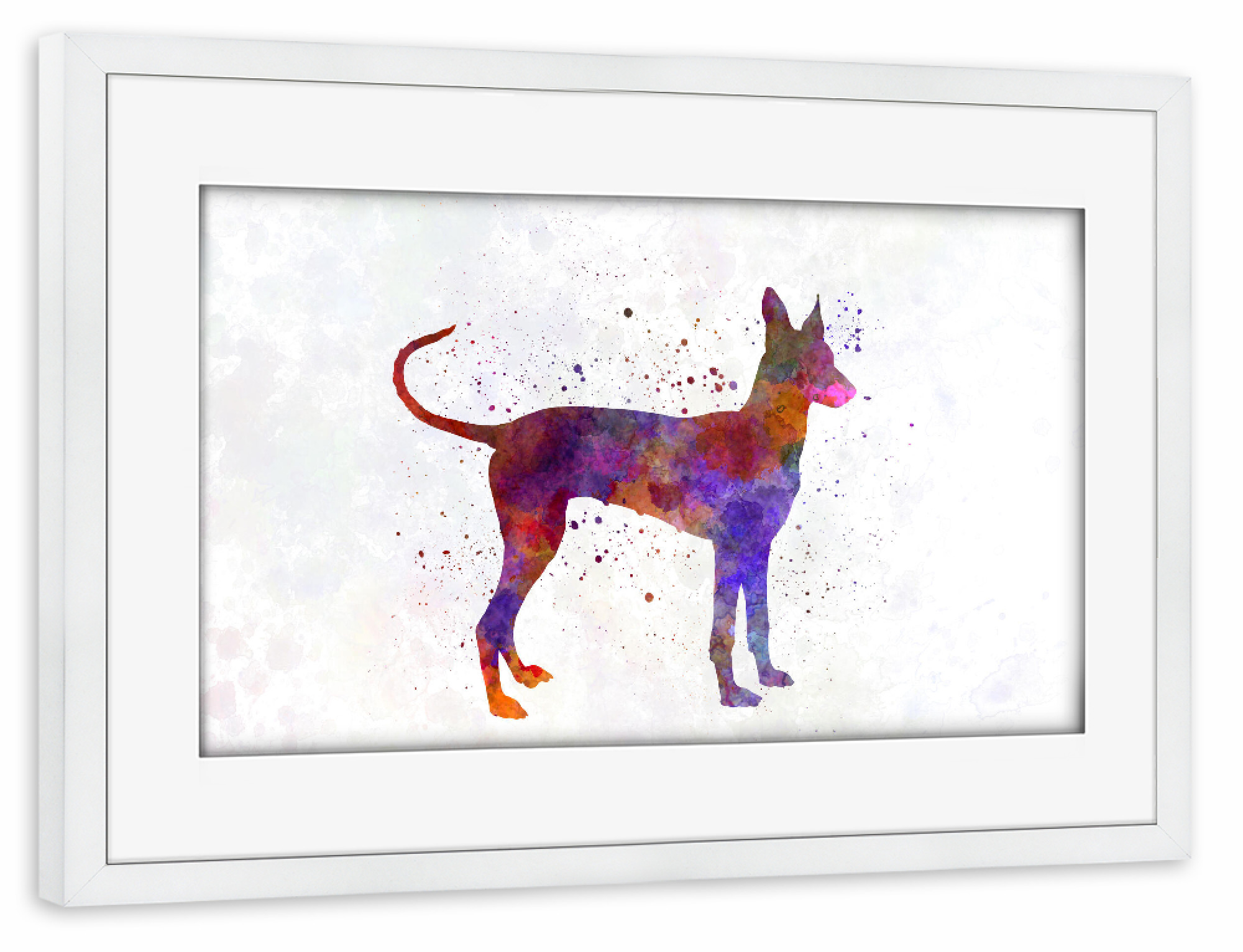 Poster mit Rahmen weiß "Cirneco Dell Etna in watercolor" artboxONE - Tiere,Abstrakt