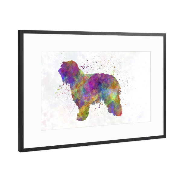 Poster mit Rahmen Schwarz (Metallic) "Catalonian Sheepdog" artboxONE - Tiere,Abstrakt
