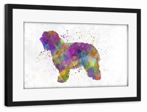 Poster mit Rahmen schwarz "Catalonian Sheepdog" artboxONE - Tiere,Abstrakt