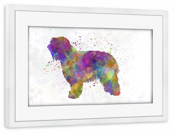 Poster mit Rahmen weiß "Catalonian Sheepdog" artboxONE - Tiere,Abstrakt