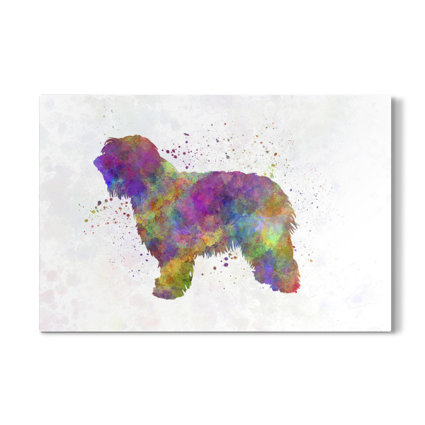 Galerie-Print "Catalonian Sheepdog" 30x20 cm artboxONE