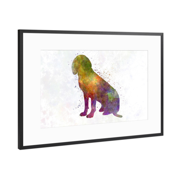 Poster mit Rahmen Schwarz (Metallic) "Bavarian Mountain Scenthound Dog" artboxONE - Tiere