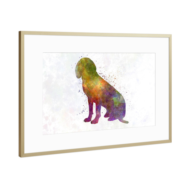 Poster mit Rahmen Gold "Bavarian Mountain Scenthound Dog" artboxONE - Tiere