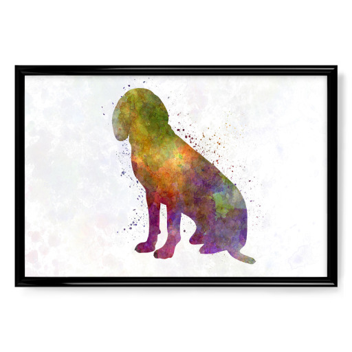 Bavarian Mountain Scenthound Dog