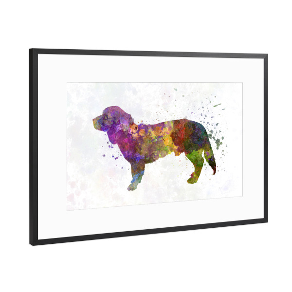 Poster mit Rahmen Schwarz (Metallic) "Alpine Dachsbracke dog" artboxONE - Tiere
