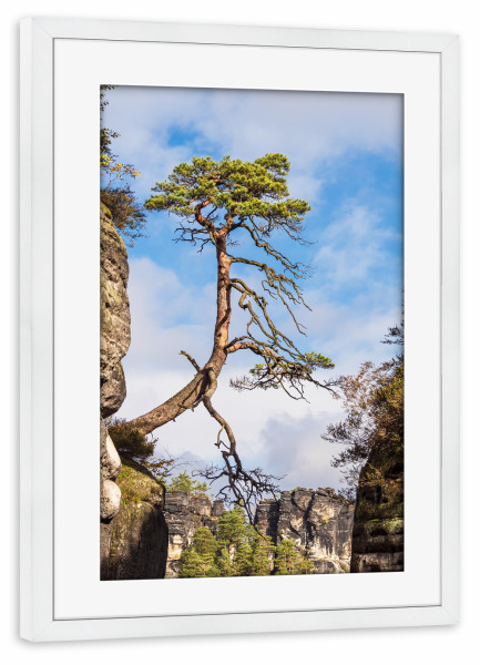 Poster mit Rahmen weiß "Wolken, Baum und Felsen" artboxONE - Natur,Reise